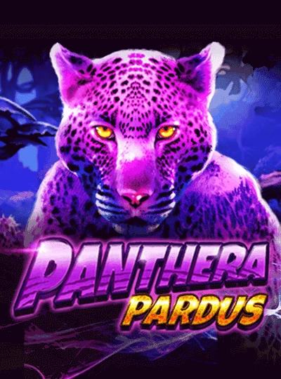 ta1971 new game